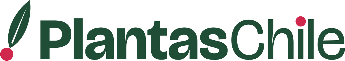 Mi tienda